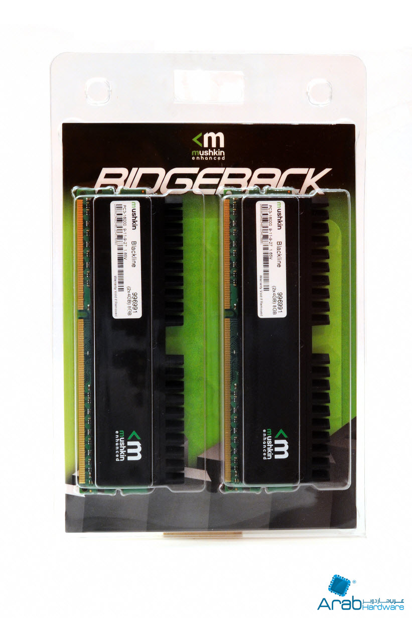 Mushkin Dual Channel