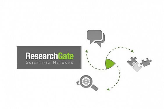 search gate search gate