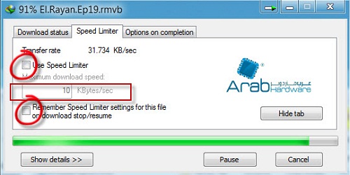 دليلك الشامل Internet Download Manager (الجزء الأخير)