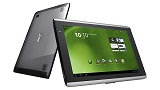 acer acer