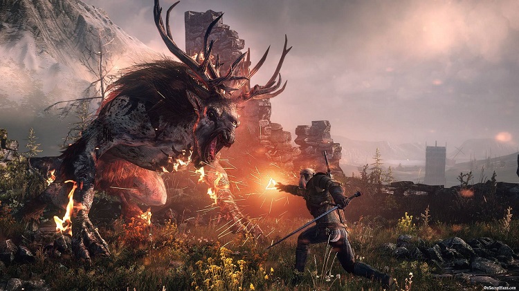  The Witcher 3: Wild Hunt