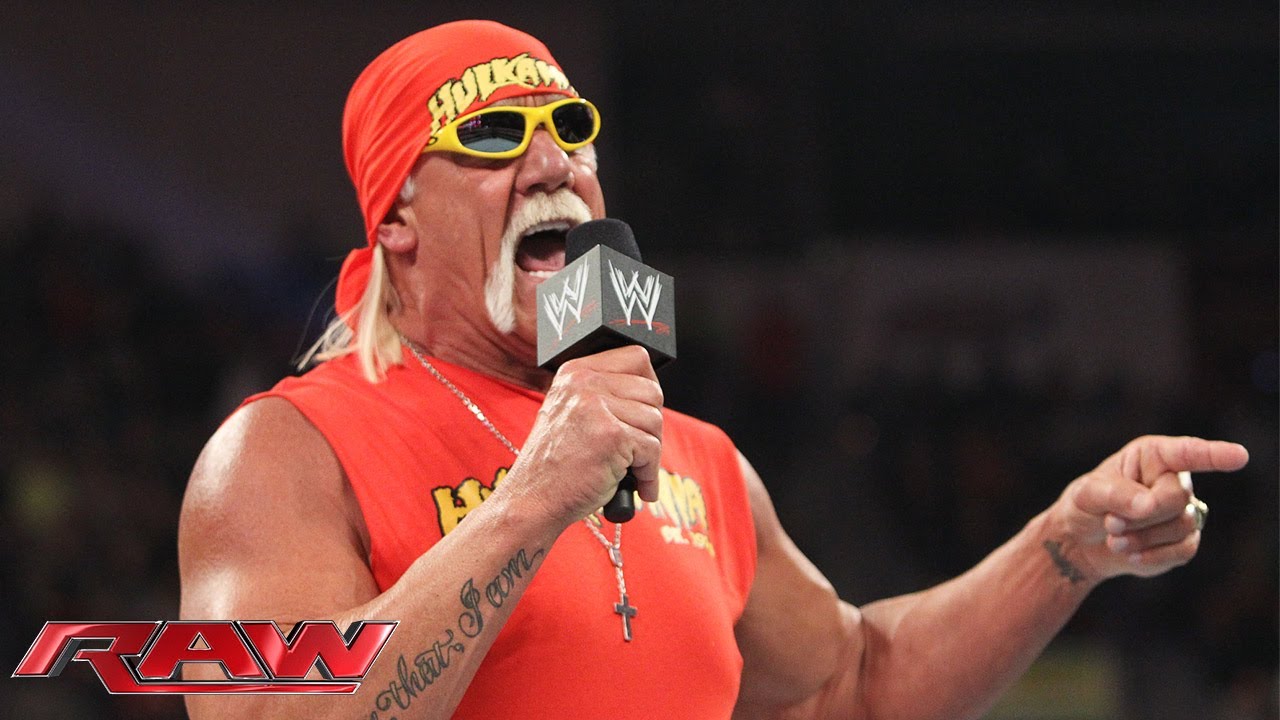Hulk Hogan 