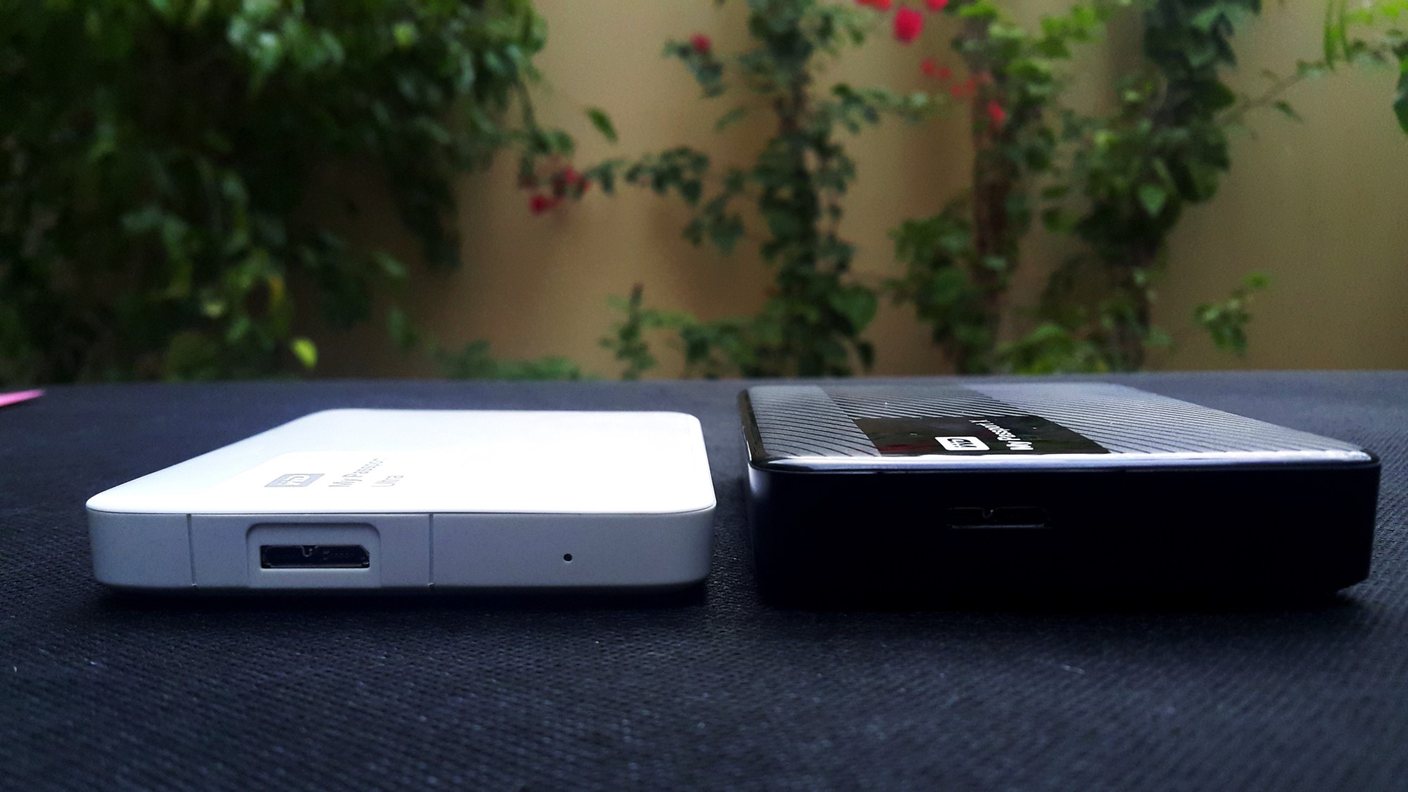 Western Digital My Passport Ultra vs Normal My Passport Western Digital My Passport Ultra vs Normal My Passport