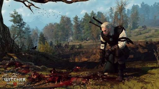 The witcher 3 game of the year