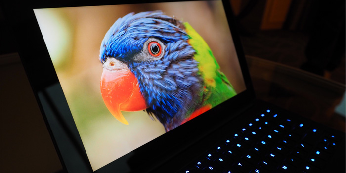 Razer-Blade-Stealth-05