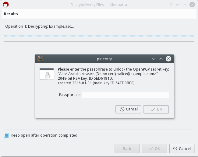 Kleopatra - decrypt