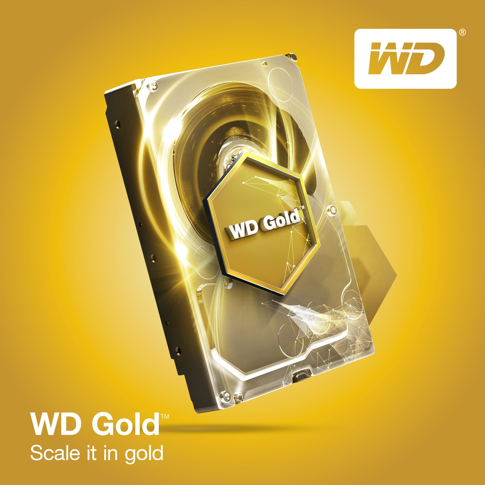 WD Gold-01