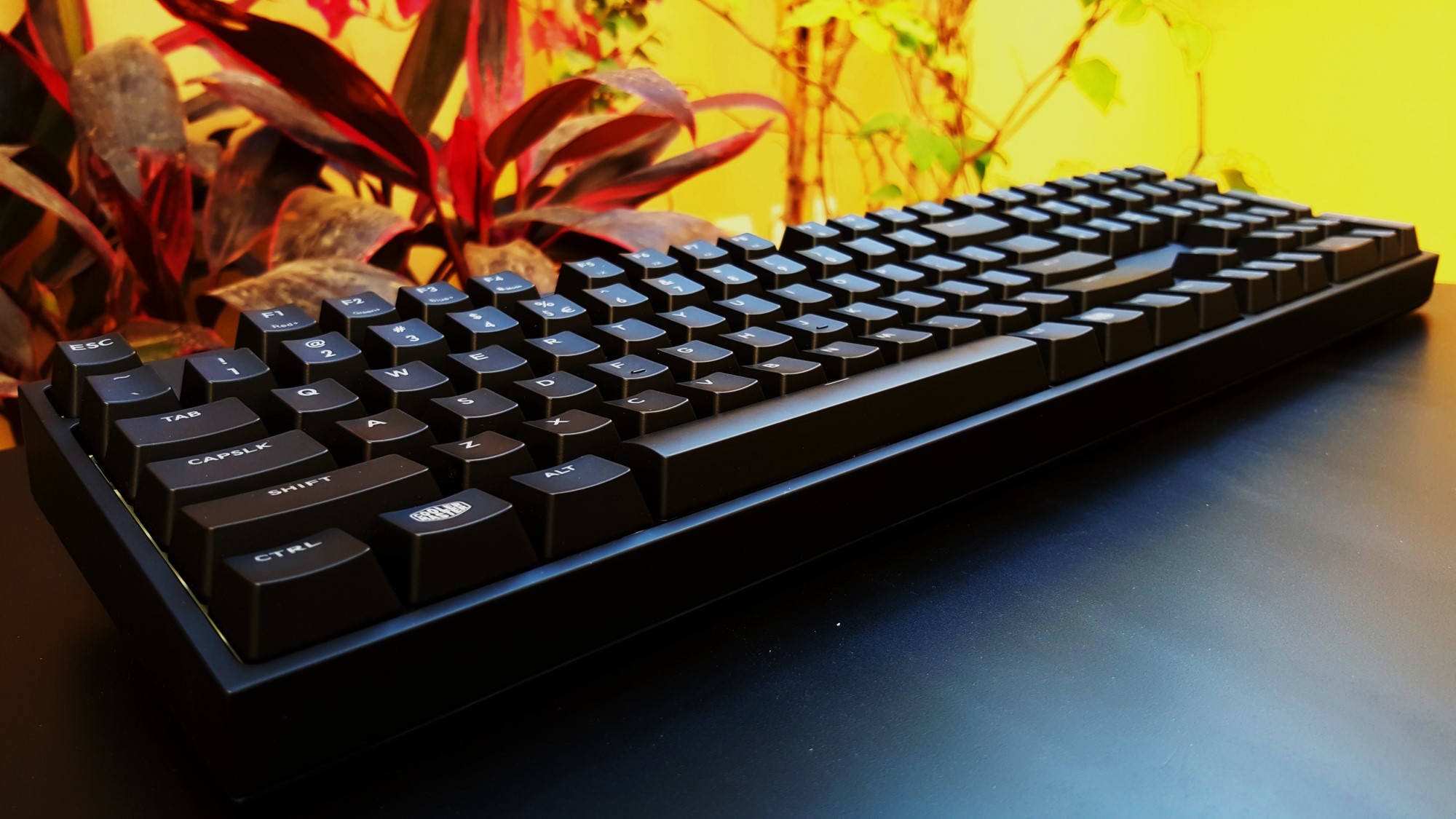 10-Cooler Master Master Keys Pro L & S Keys