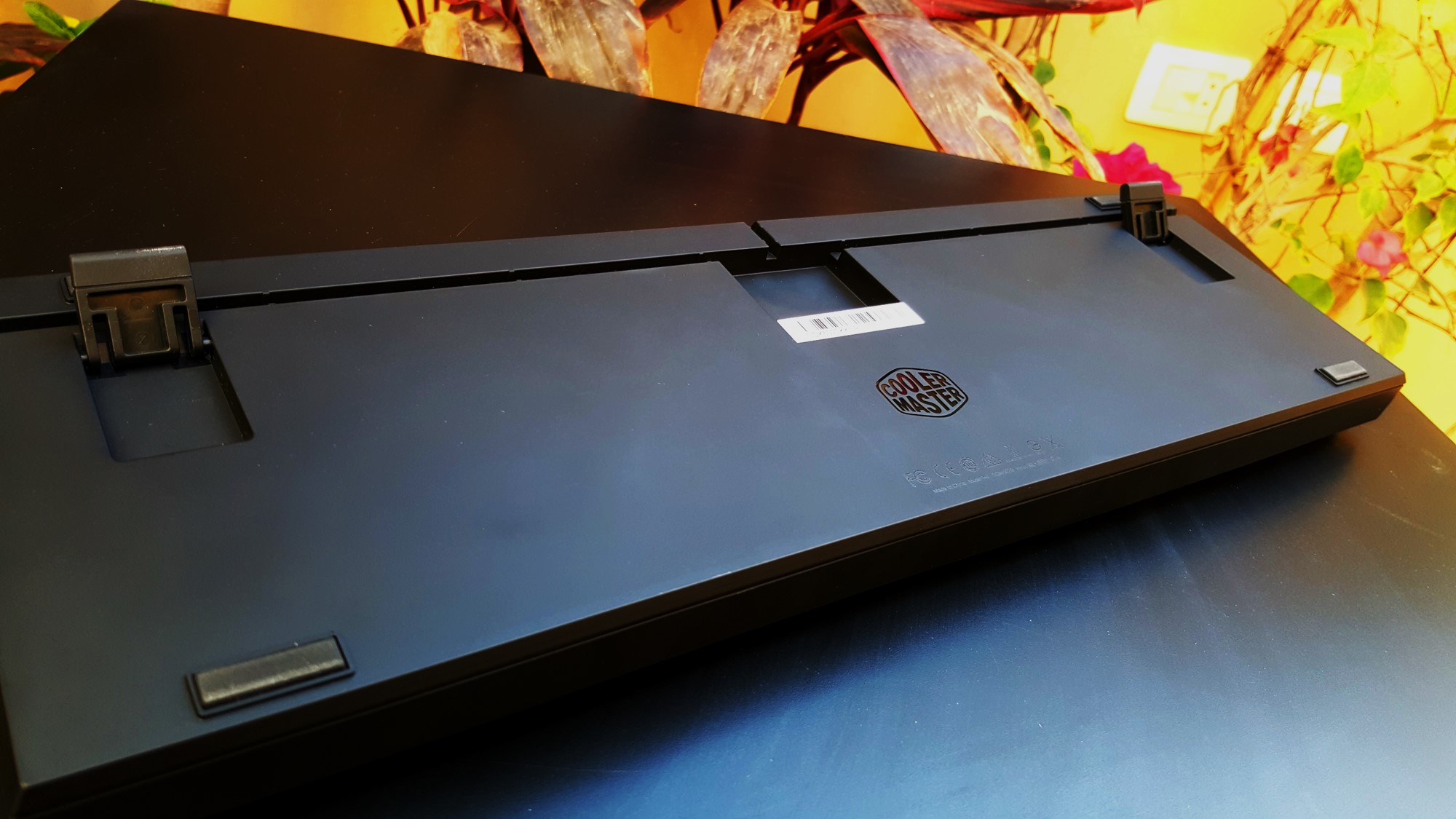 11-Cooler Master Master Keys Pro L & S Back