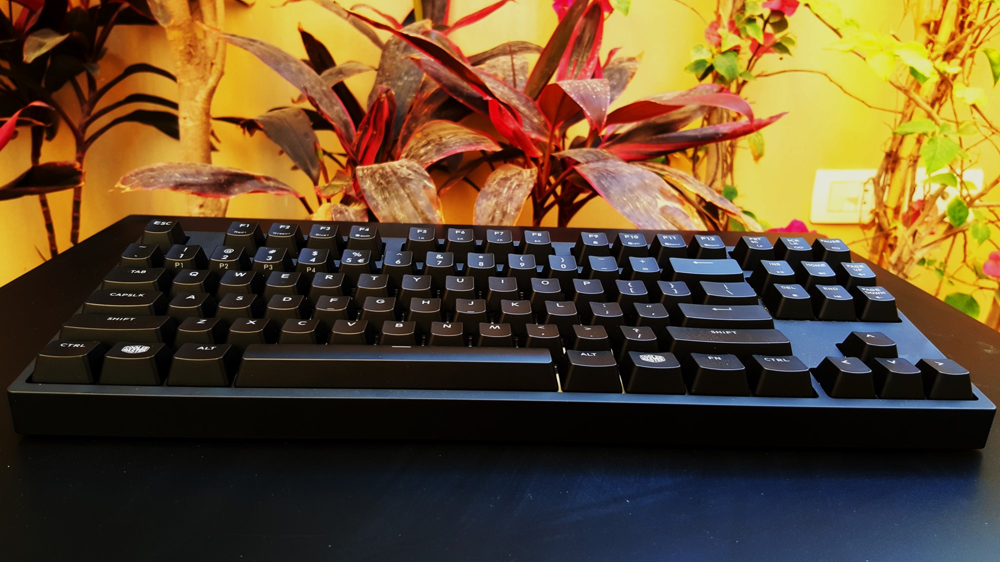 4-Cooler Master Master Keys Pro L & S Front
