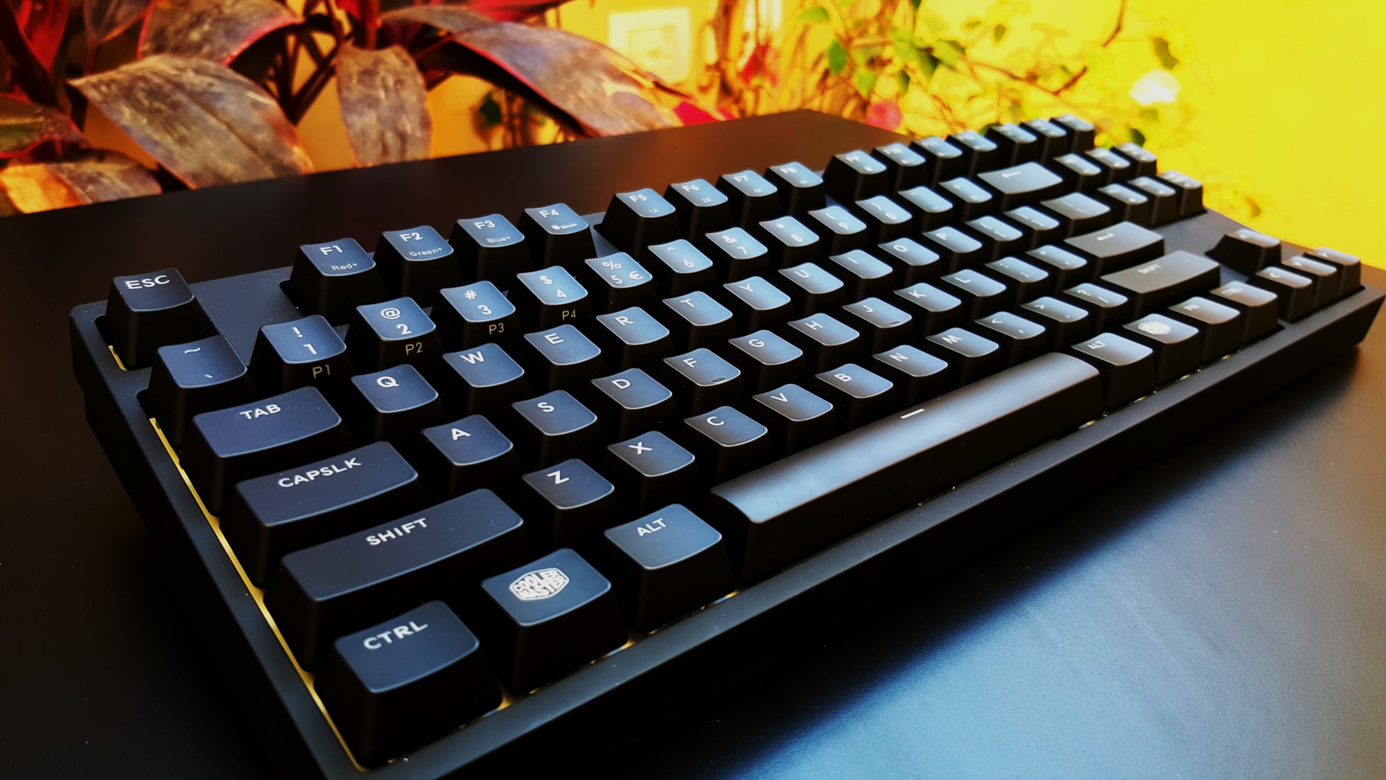 5-Cooler Master Master Keys Pro L & S Side