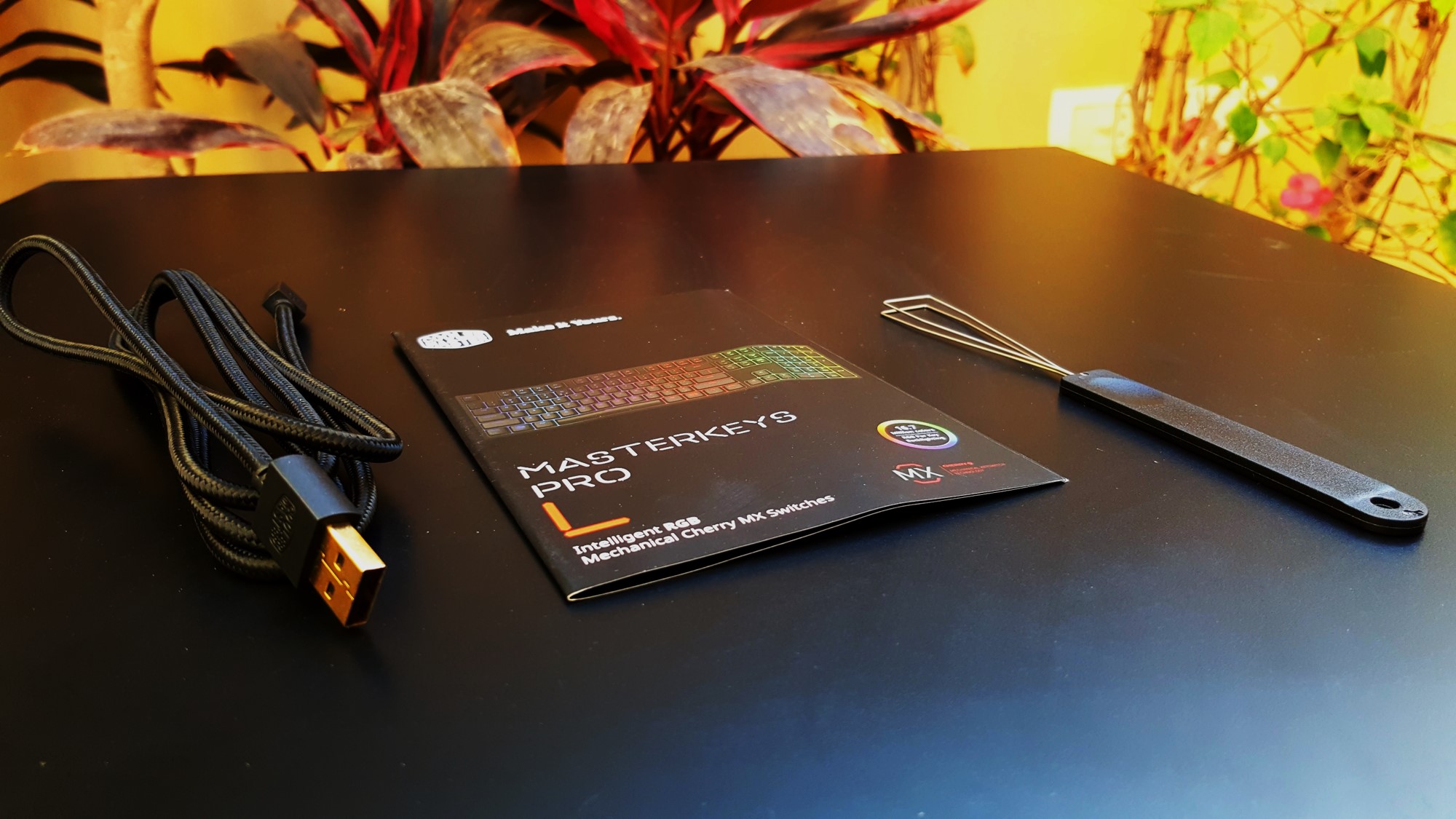 5-Cooler Master Master Keys Pro L & S inside box