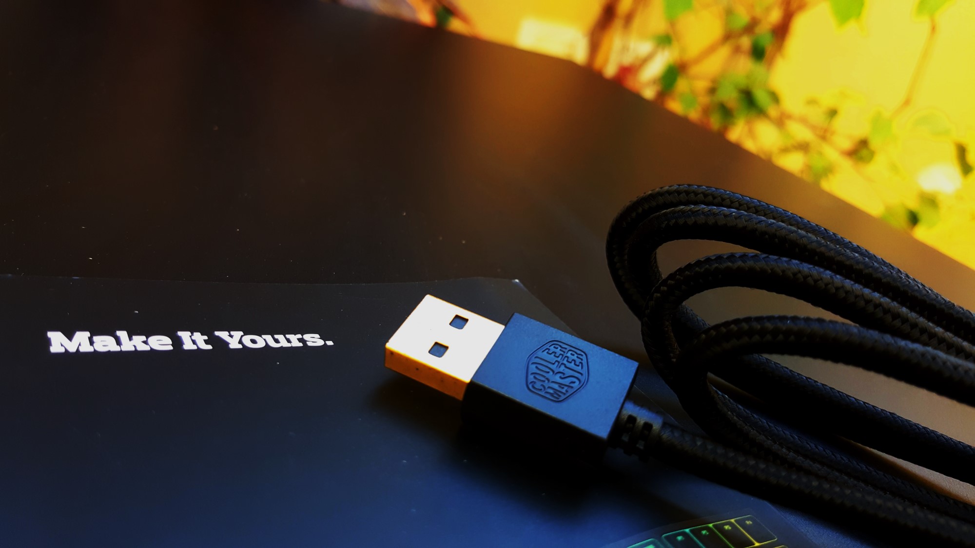 6-Cooler Master Master Keys Pro L & S USB