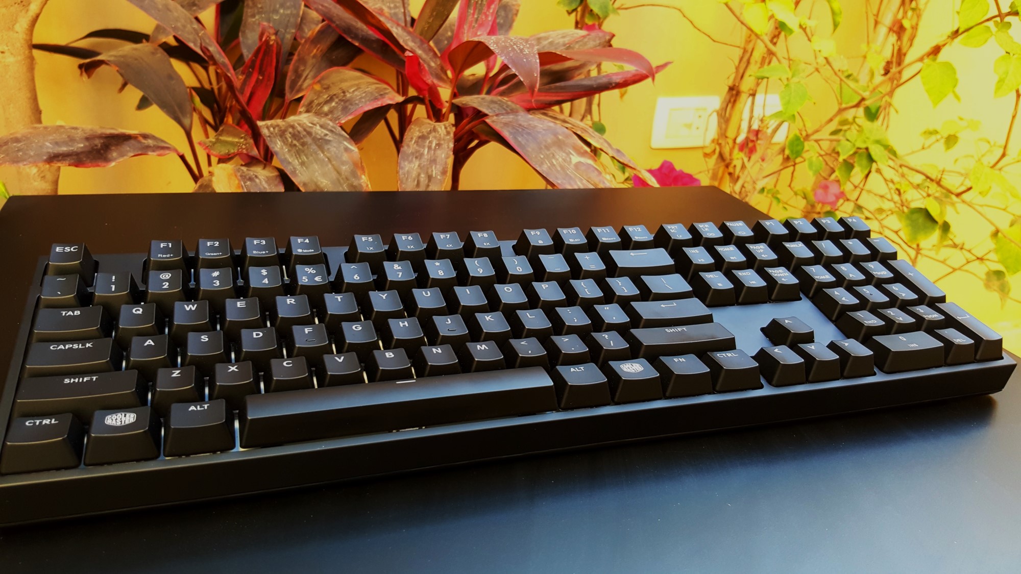 8-Cooler Master Master Keys Pro L & S Front