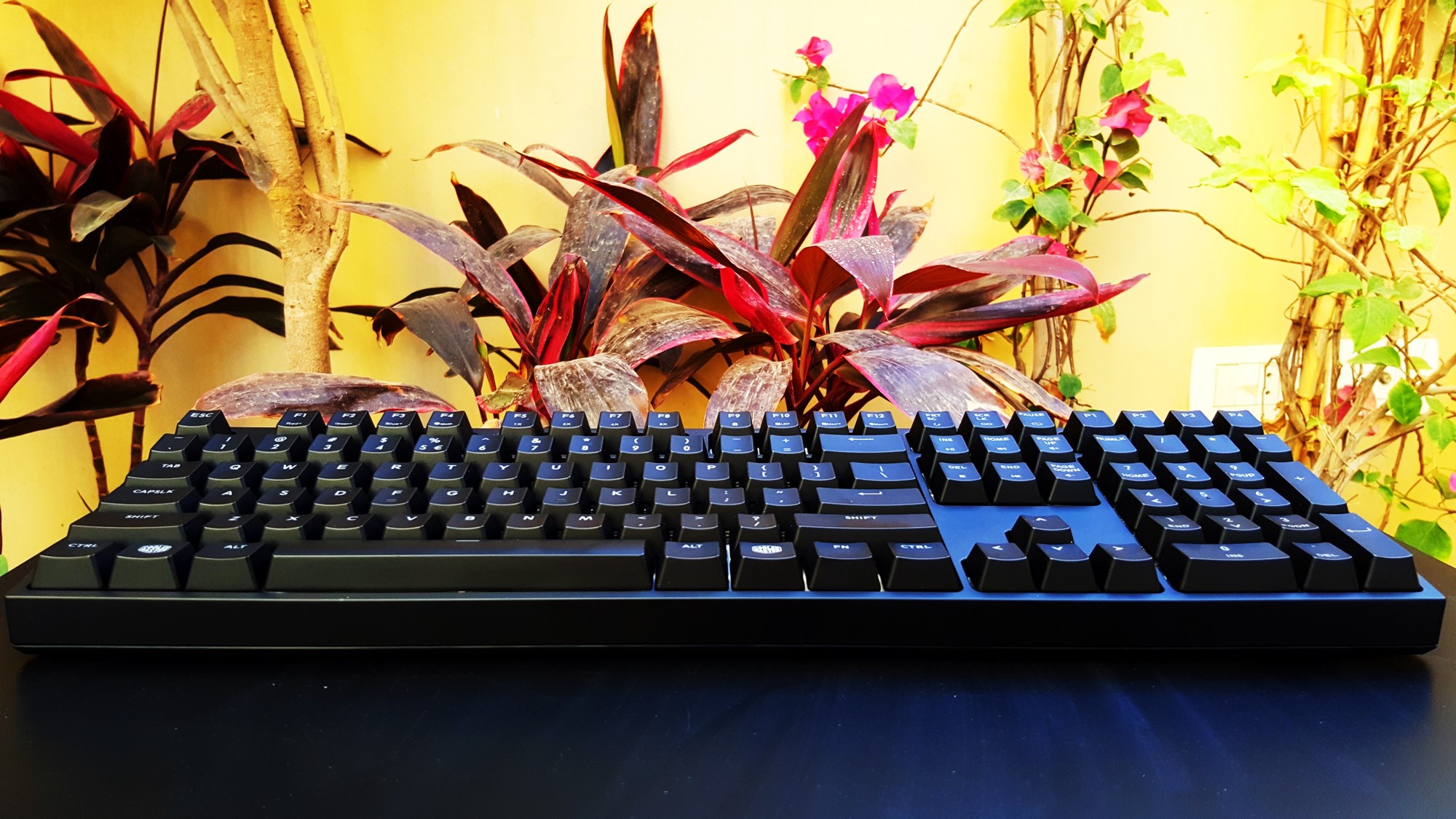 9-Cooler Master Master Keys Pro L & S Side