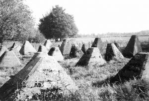 Dragon's Teeth World War II