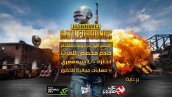PUBG LAN