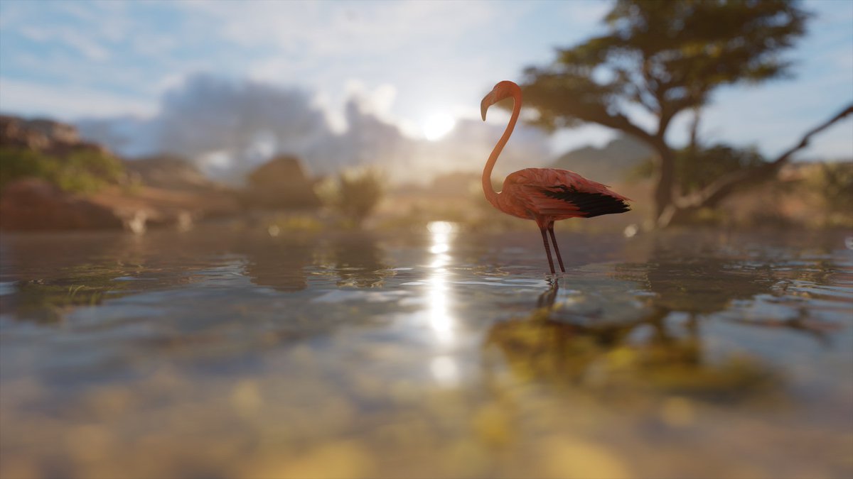 نداء للمصورين المحترفين من لاعبي Assassin's Creed Origins في كل مكان! Assassin's Creed Origins Photo Mode