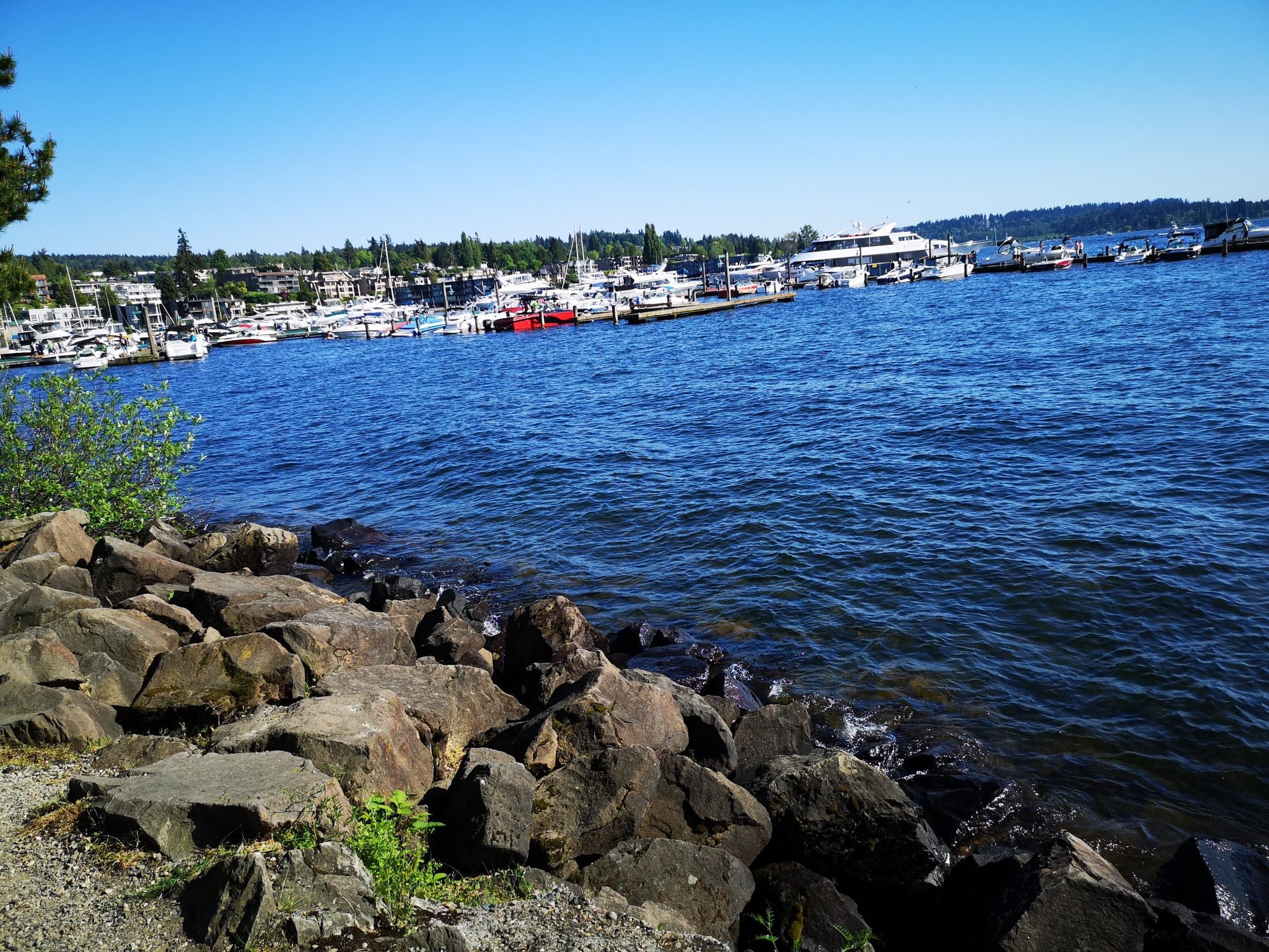 P20 Pro Seattle - صور بى 20 برو فى سياتل (11)