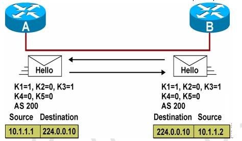  Enhanced Interior Gateway Routing Protocol