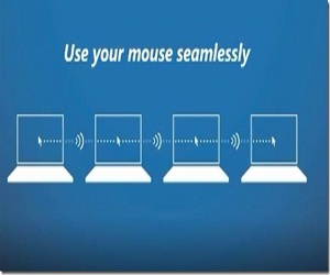 mouse
