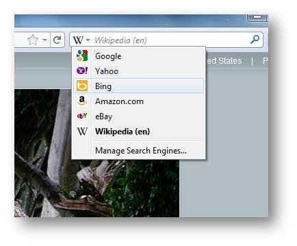 bing