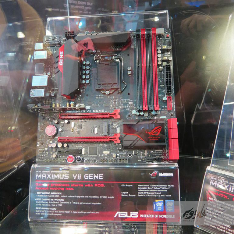 ASUS Gene