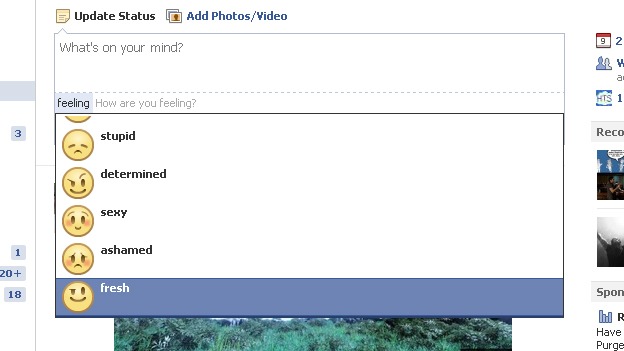 FacebookIcon