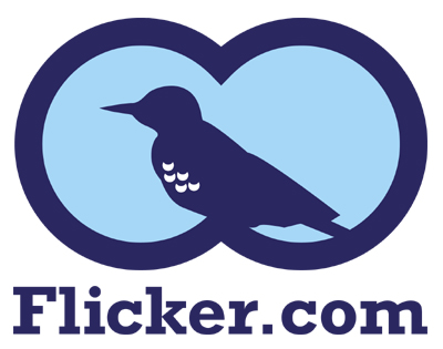 flickr flicker