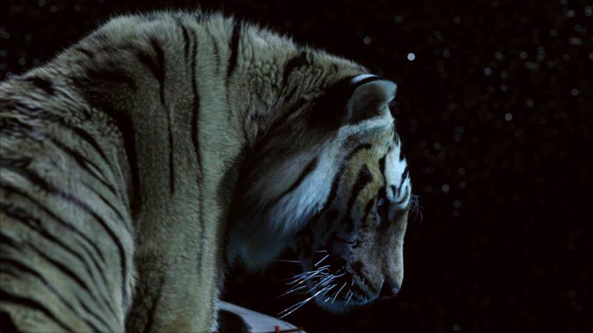 صناعة الأفلام: دور Nvidia البارز في الفيلم الأسطوري Life Of Pi