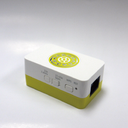Router Network Processor