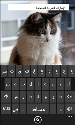 برنامج Arabic Hub لدعم اللغة العربية على هواتف windows phone 7