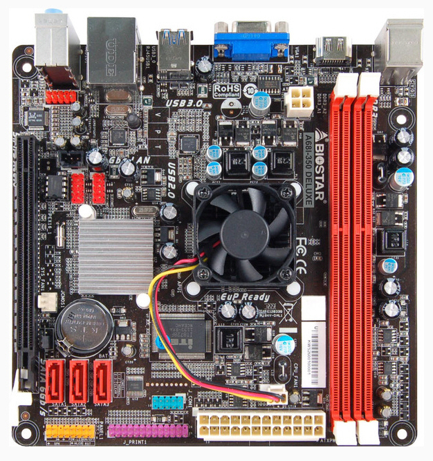 biostar2