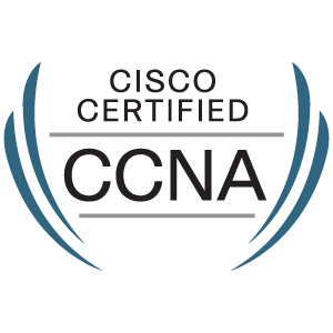 ccna large