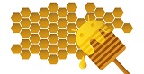 معالج ثنائي النواة من متطلبات نظام Android Honeycomb 2.4