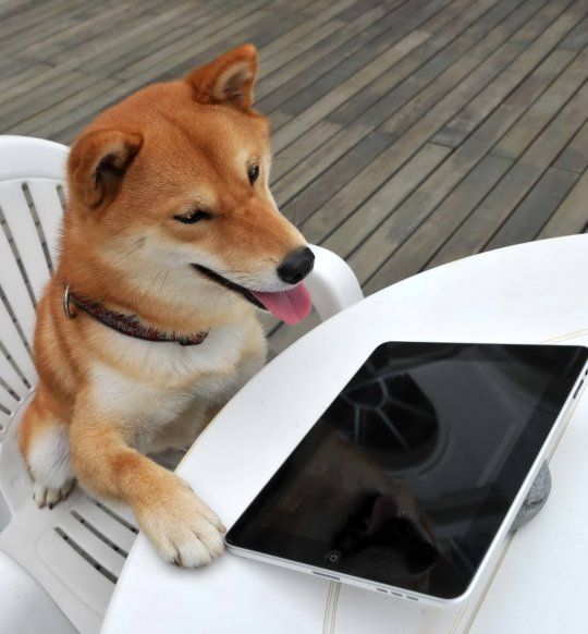 dogipad