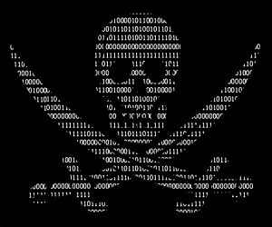 hacker