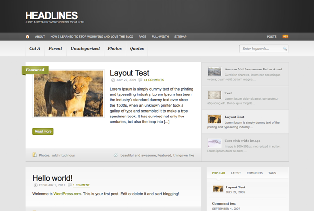 wordpress