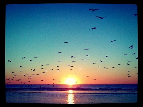 instagram-4