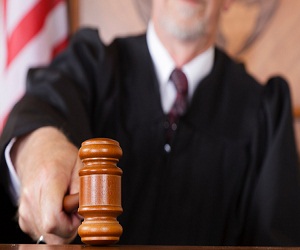 judge600