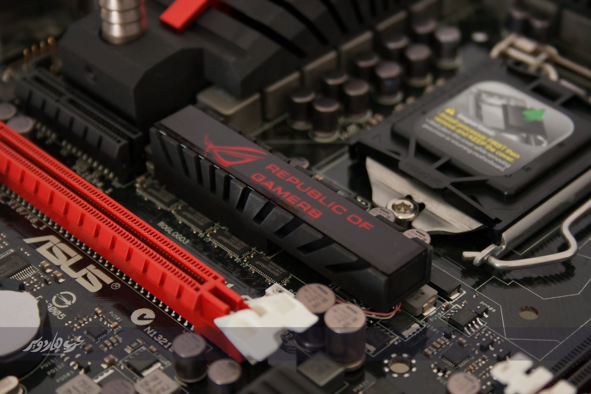 rog