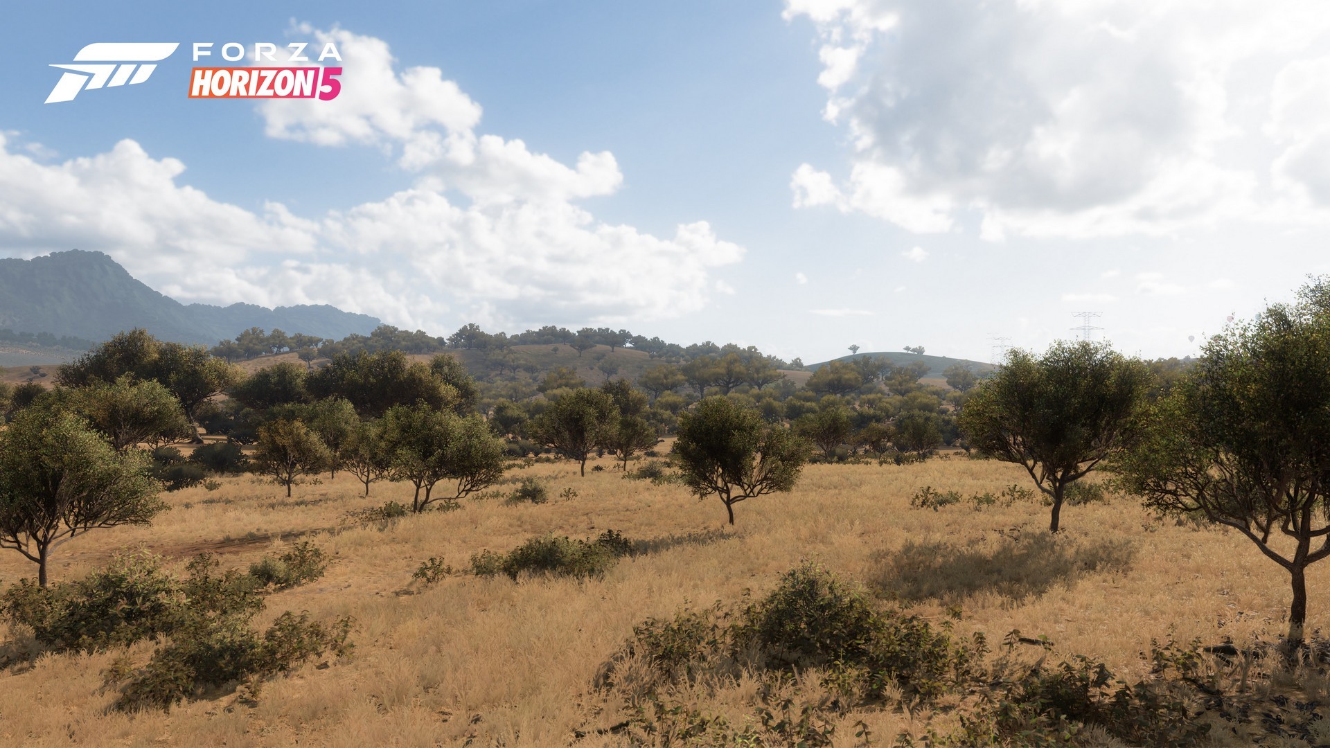 لعبة Forza Horizon 5 تتألق في ألبوم وهمي يظهر مدى واقعية بيئات اللعبة!