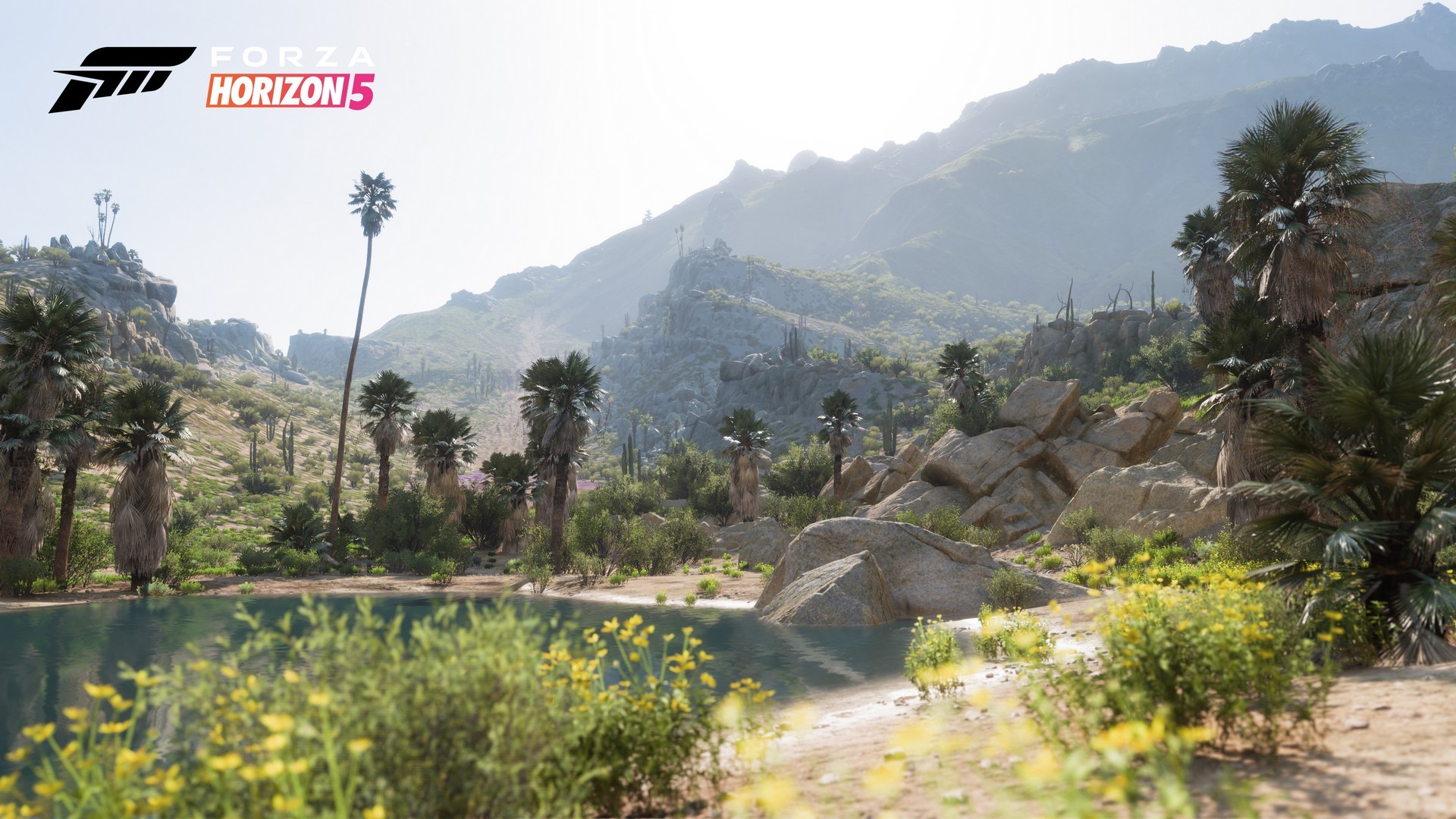 لعبة Forza Horizon 5 تتألق في ألبوم وهمي يظهر مدى واقعية بيئات اللعبة!