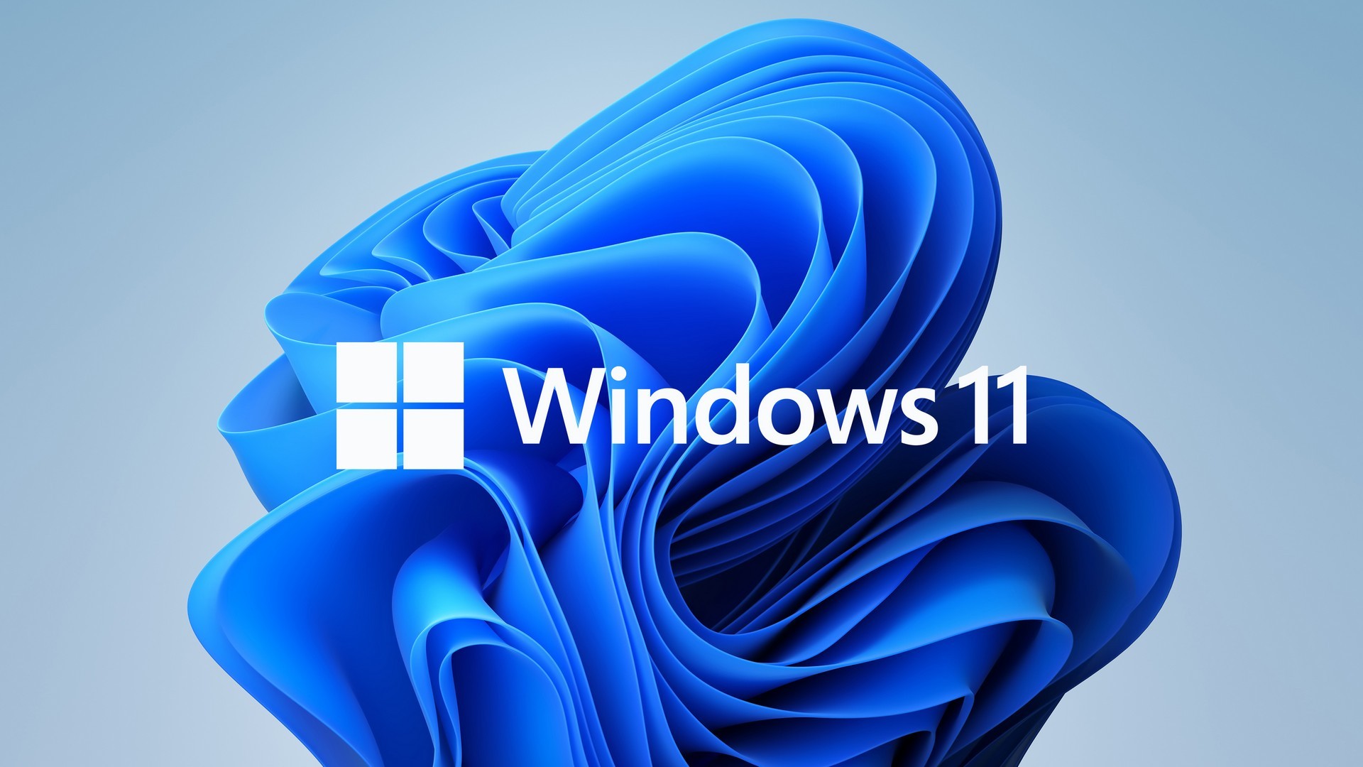 ويندوز 11 - Windows 11