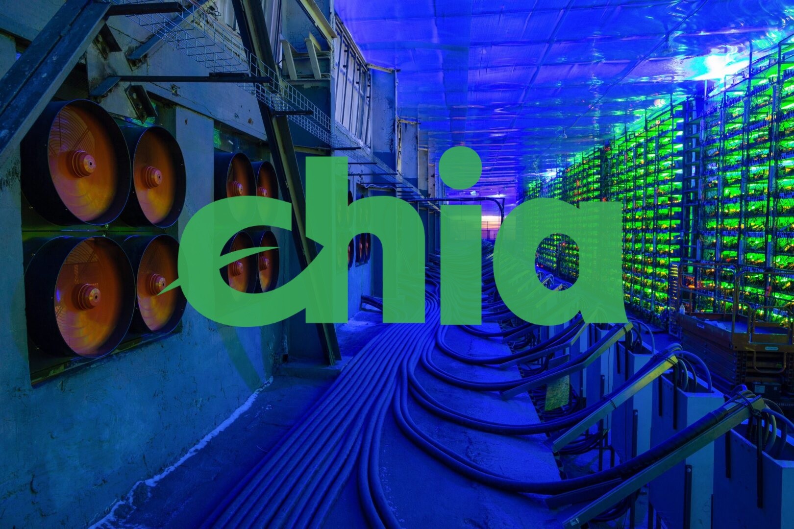 عملة Chia SSD