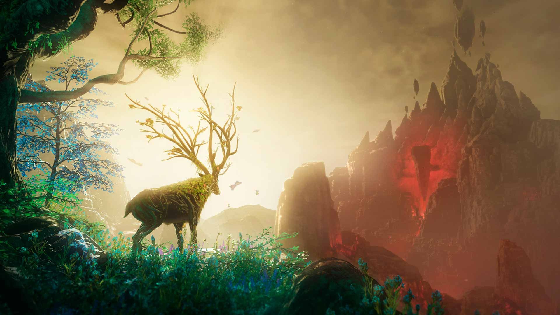 New World