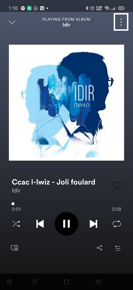 Spotify Remove Song Album 1 (1)