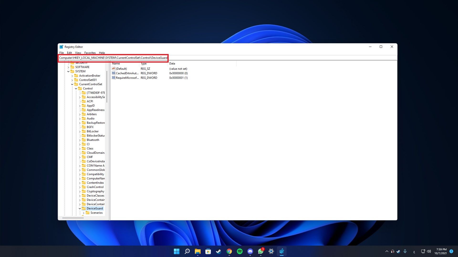 Windows 11 Registry Editor