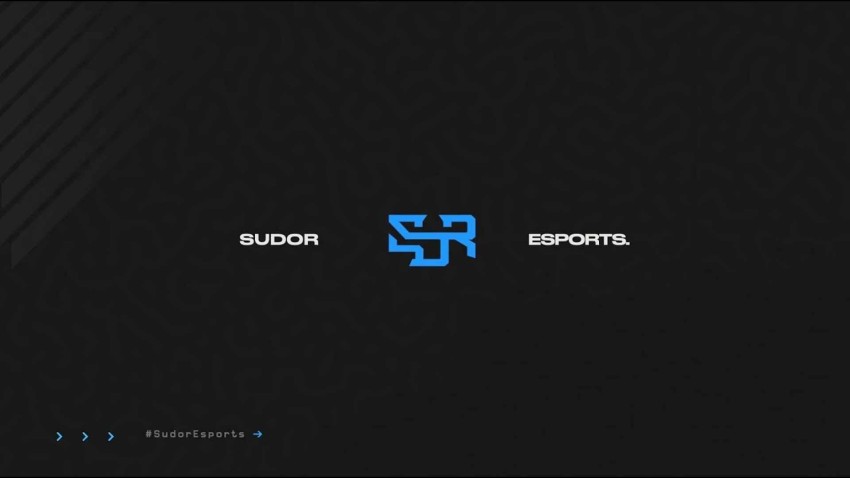 الاتحاد السعودي للرياضات الإلكترونية يوقف فريق SUDOR Esports