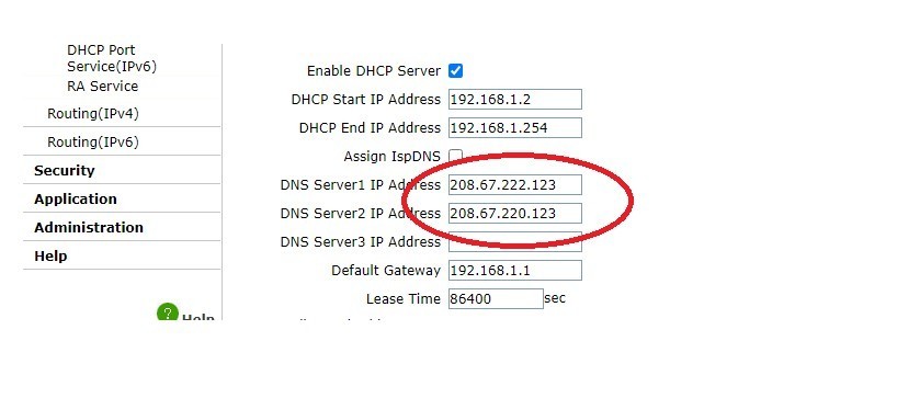  ادخل الـ DNS في راوتر وي